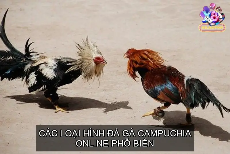 Các Loại Hình Đá Gà Campuchia Online Phổ Biến