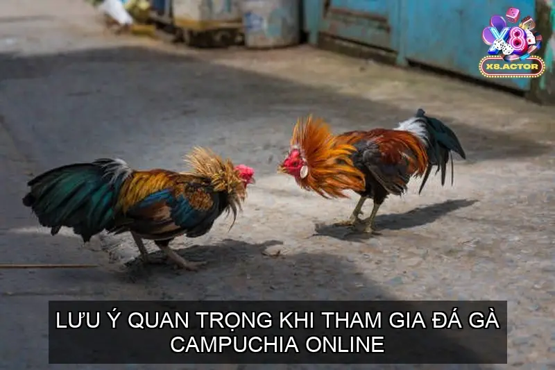 Lưu Ý Quan Trọng Khi Tham Gia Đá Gà Campuchia Online