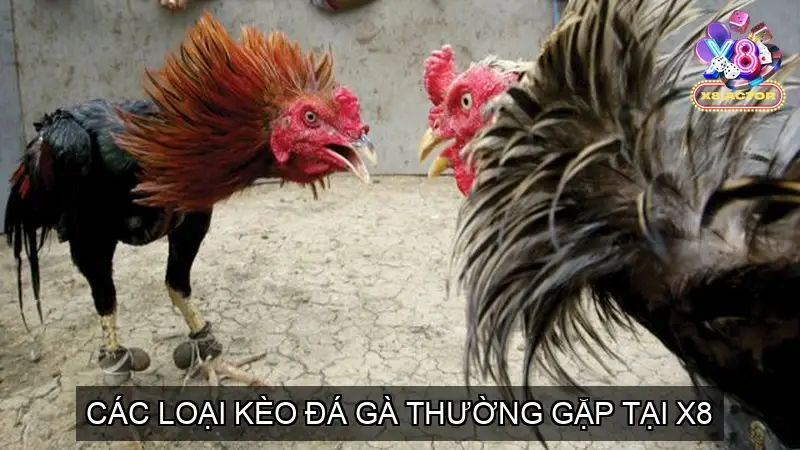 Các Loại Kèo Đá Gà Thường Gặp Tại X8