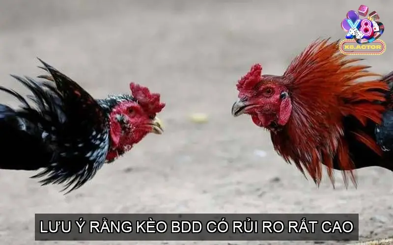 Lưu ý rằng kèo BDD có rủi ro rất cao